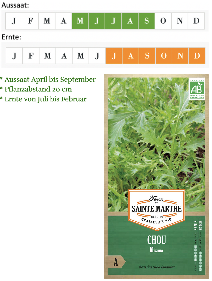 "Mizuna" oder "Rübstiel" ist ein altes Wintergemüse. Geschmacklich bewegt er sich zwischen Kohlrabi, Broccoli und Rucola. Das Gemüse ist reich an Vitaminen.