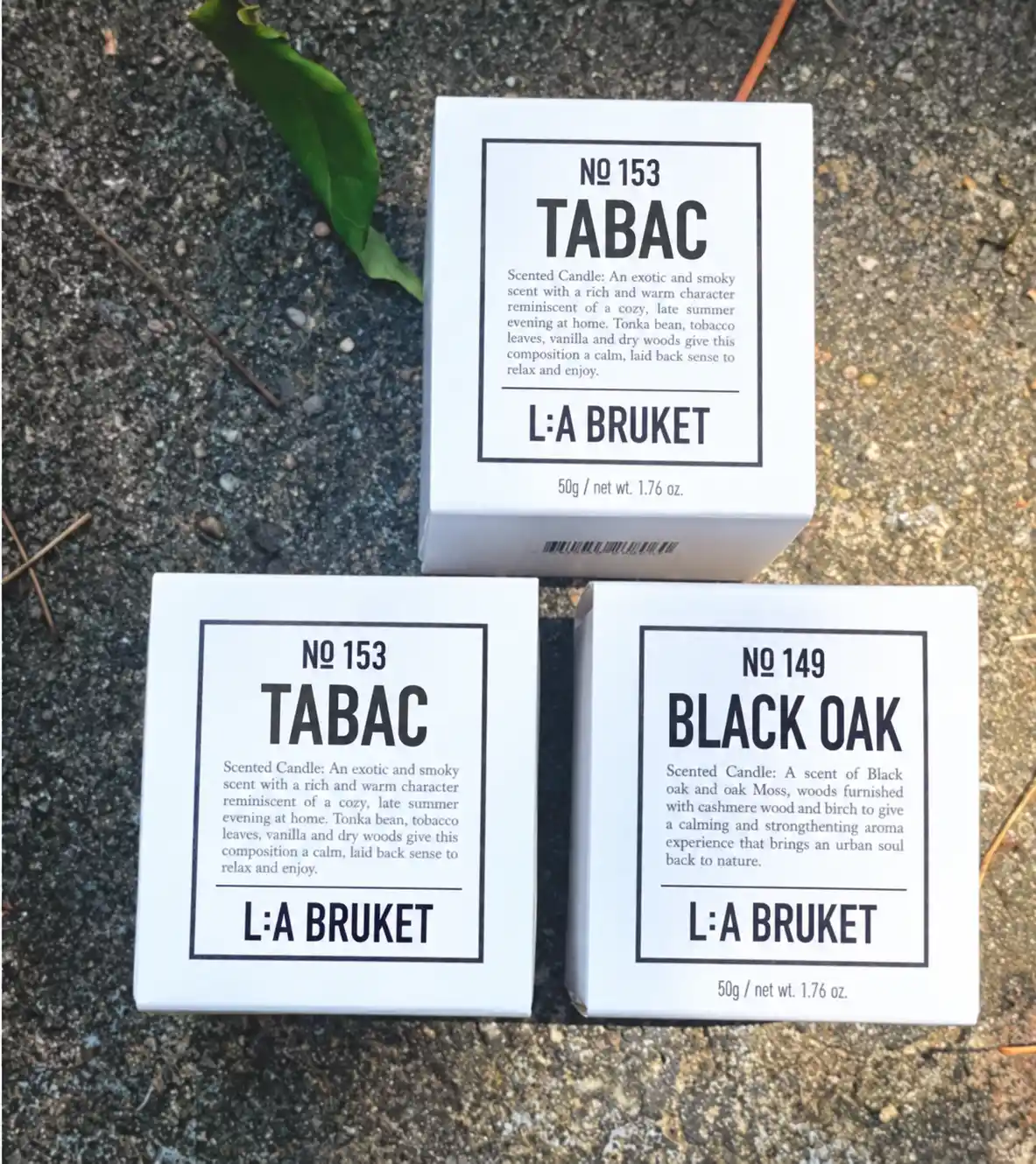 Zwei Tabac, eine Black Oak auf Stein