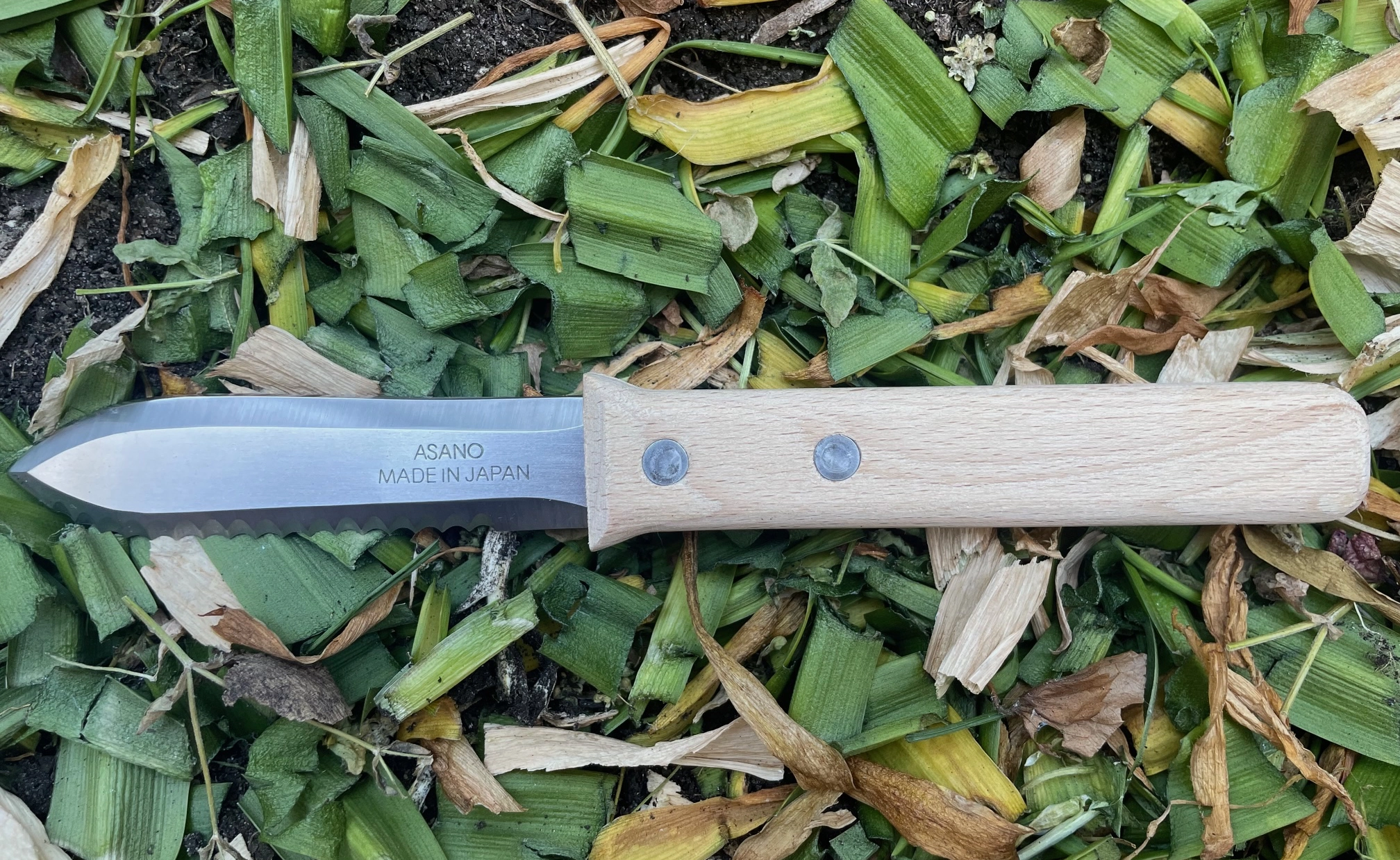 Dieses kleine Hori Hori ist handliche 20 cm lang, die Klinge ist mit 9,5 cm Länge und 3 cm Breite eher so etwas wie ein super starkes Gartenmesser.
