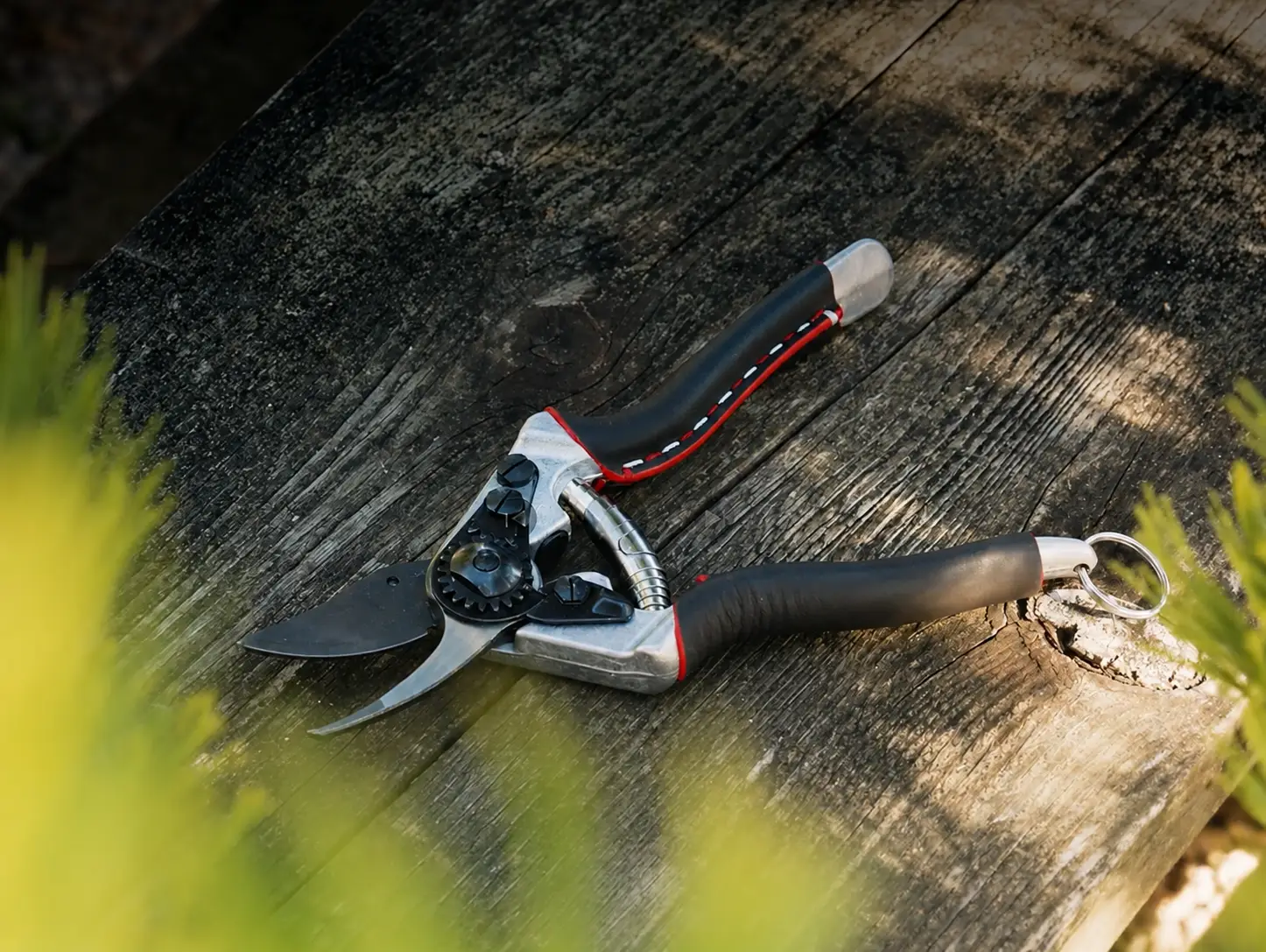 Die Felco No. 6 ist die "Kleine" von Felco. Nicht nur der Scherenkopf ist etwas schlanker, auch die Griffe öffnen sich nicht so weit wie bei den anderen Felco-Modellen. Die perfekte Gartenschere für Frauenhände! Sie ist sehr kompakt, extrem agil und läßt sich maximal intuitiv führen.